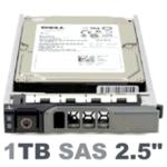 Dell 1TB Internal HDD SAS 6Gb/s - 7200 RPM - SFF - DP - R/T-Series Tray - DPN