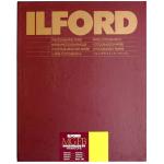 ILFORD 1169034  Multigrade FB Warmtone Matt 12x16" Darkroom Paper 10 Sheets MGFBWT24K