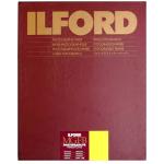 ILFORD 1884300  Multigrade FB Warmtone Matt 8x10" Darkroom Paper 100 Sheets MGFBWT24K