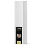 ILFORD 2005156  Galerie Decor Canvas Matt Cotton 370gsm 24" x 15m Roll