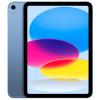 Apple iPad 11-inch (A16) - Blue 256GB Storage - WiFi + Cellular