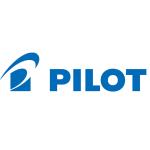 Pilot Pintor Marker - Medium - Pastel Blue